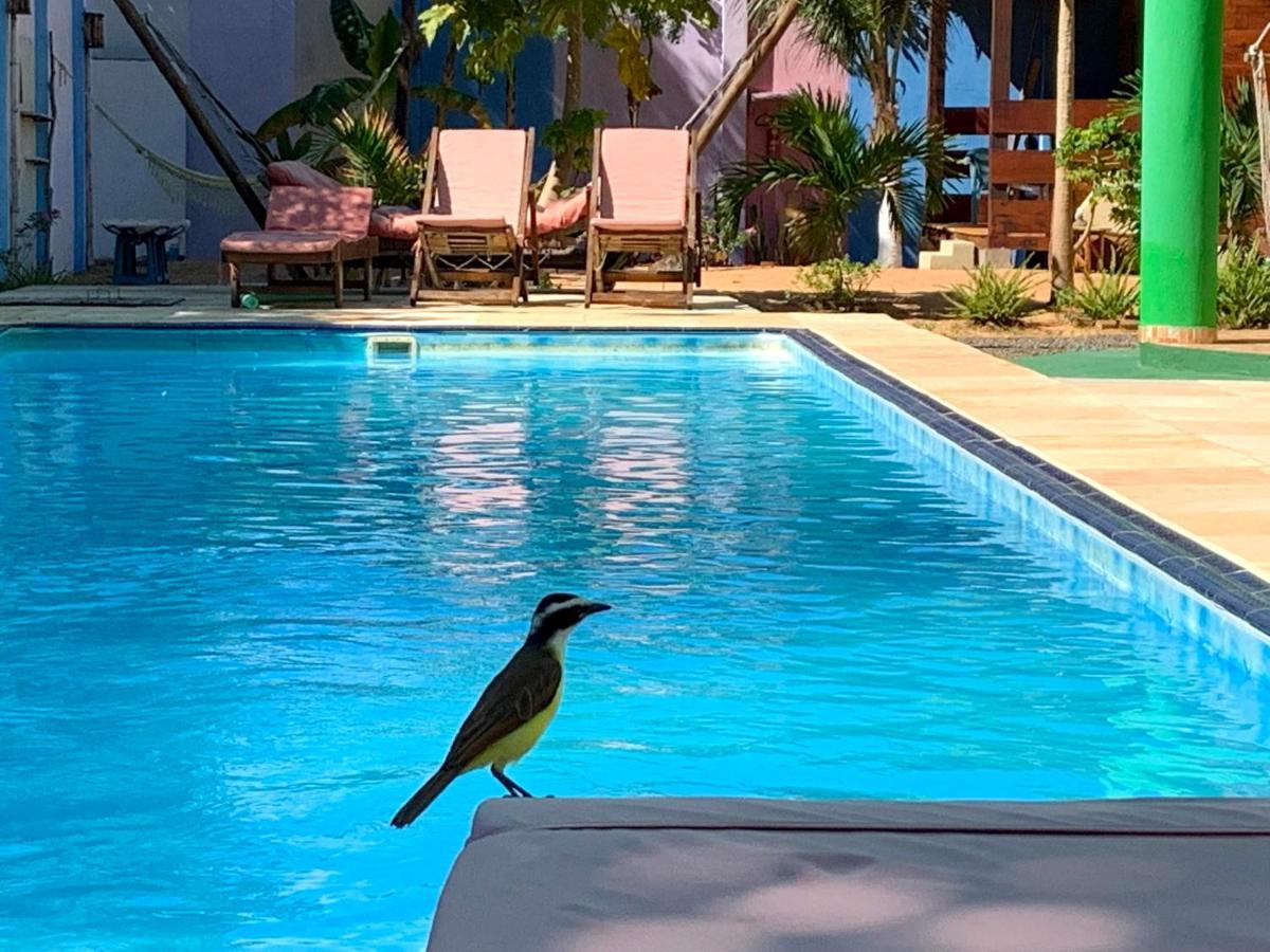 Pousada Janela Da Cor Jijoca de Jericoacoara Ngoại thất bức ảnh